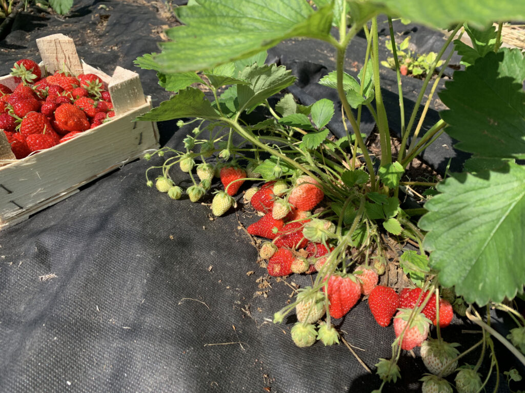 Fotó: Dóra Melinda Tünde