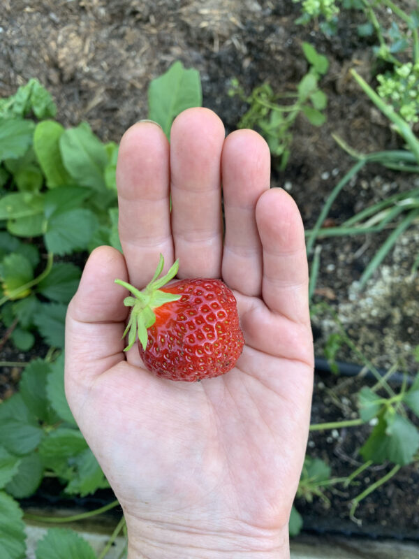 Fotó: Dóra Melinda Tünde