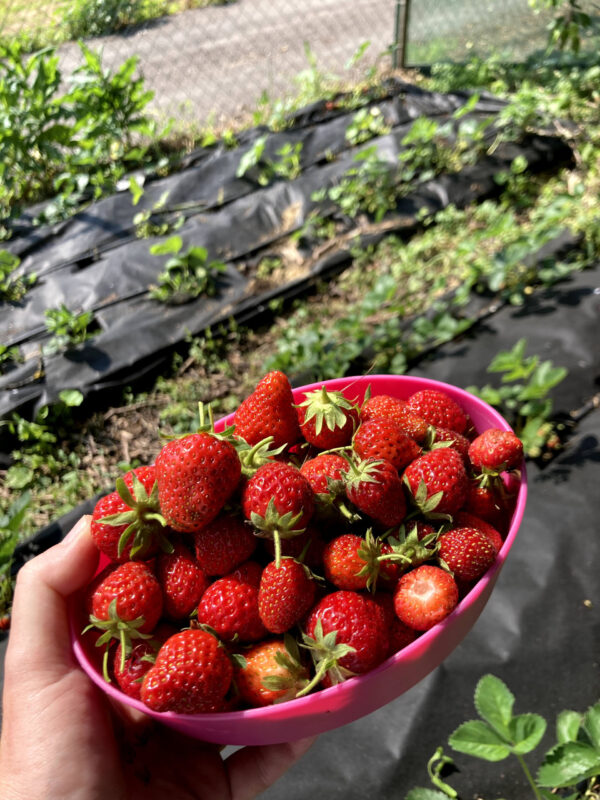 Fotó: Dóra Melinda Tünde