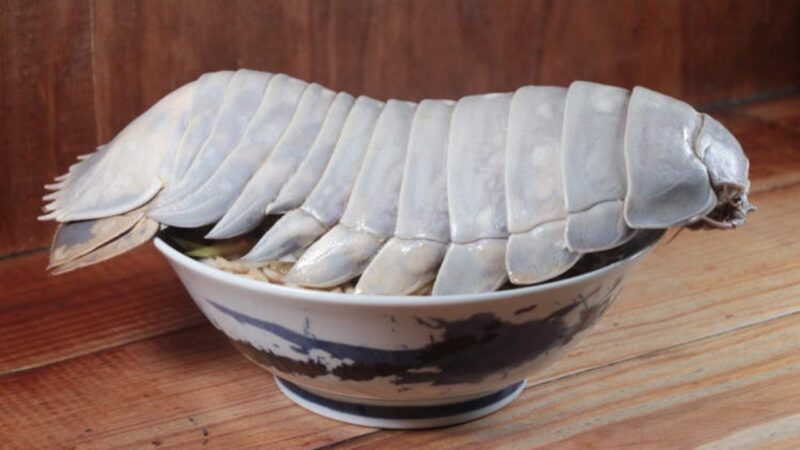 Az óriás ászkarákkal kínált leves