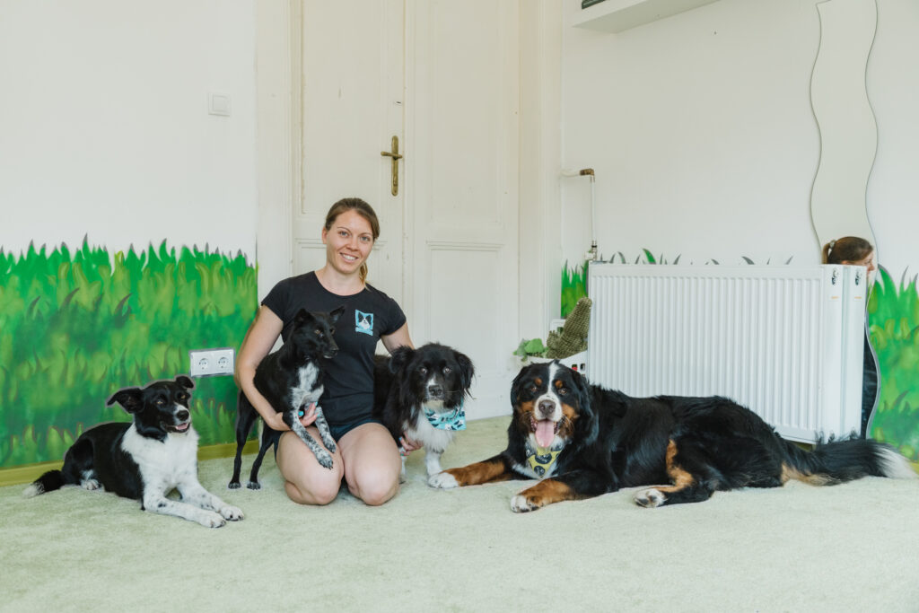 Dalma és a kutyusok