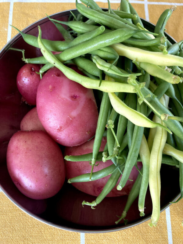 A nizzai saláta első lépései