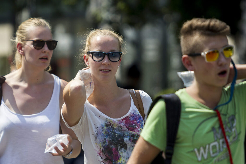 MTI Fotó: Szigetváry Zsolt