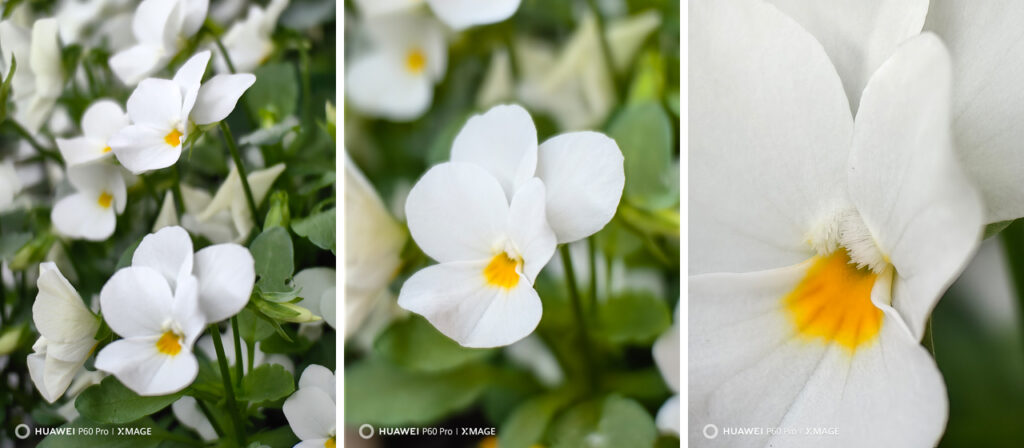 Forradalmi fényképezés mobiltelefonnal