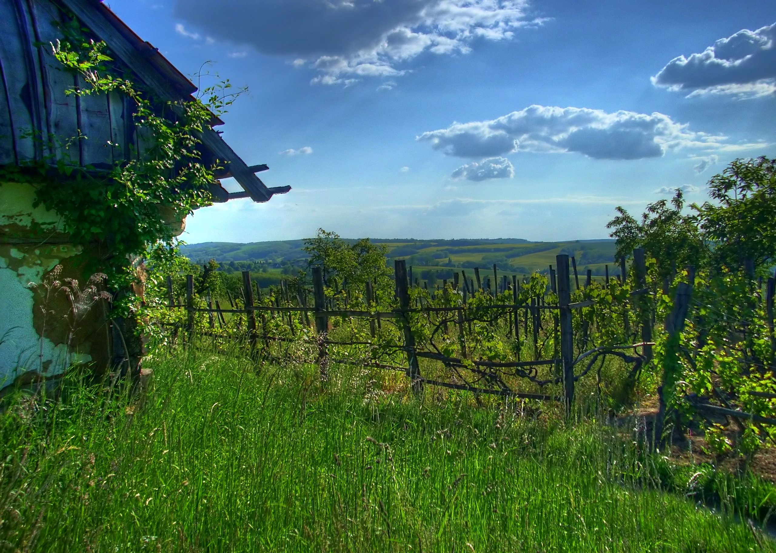 Genehegyi kilátás Zalában