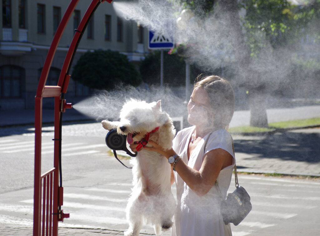 Fotó: Pustovit Serhii/ Ukrinform/Future Publishing via Getty Images