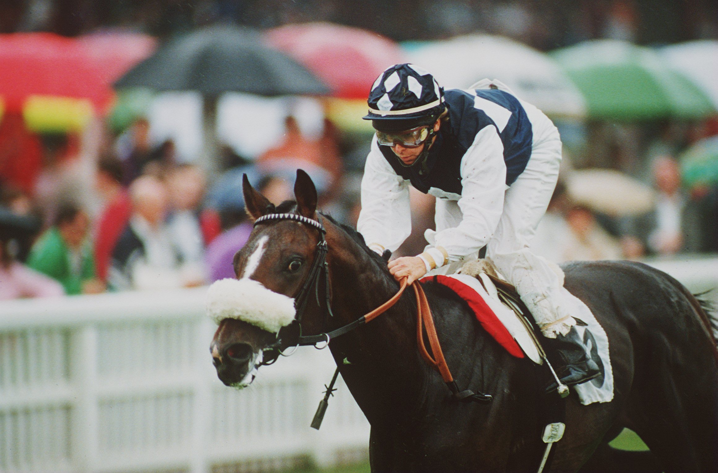 July Krone verseny közben