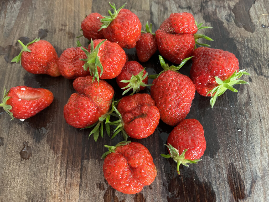 Idén végre csak egy csigás, a többi nem