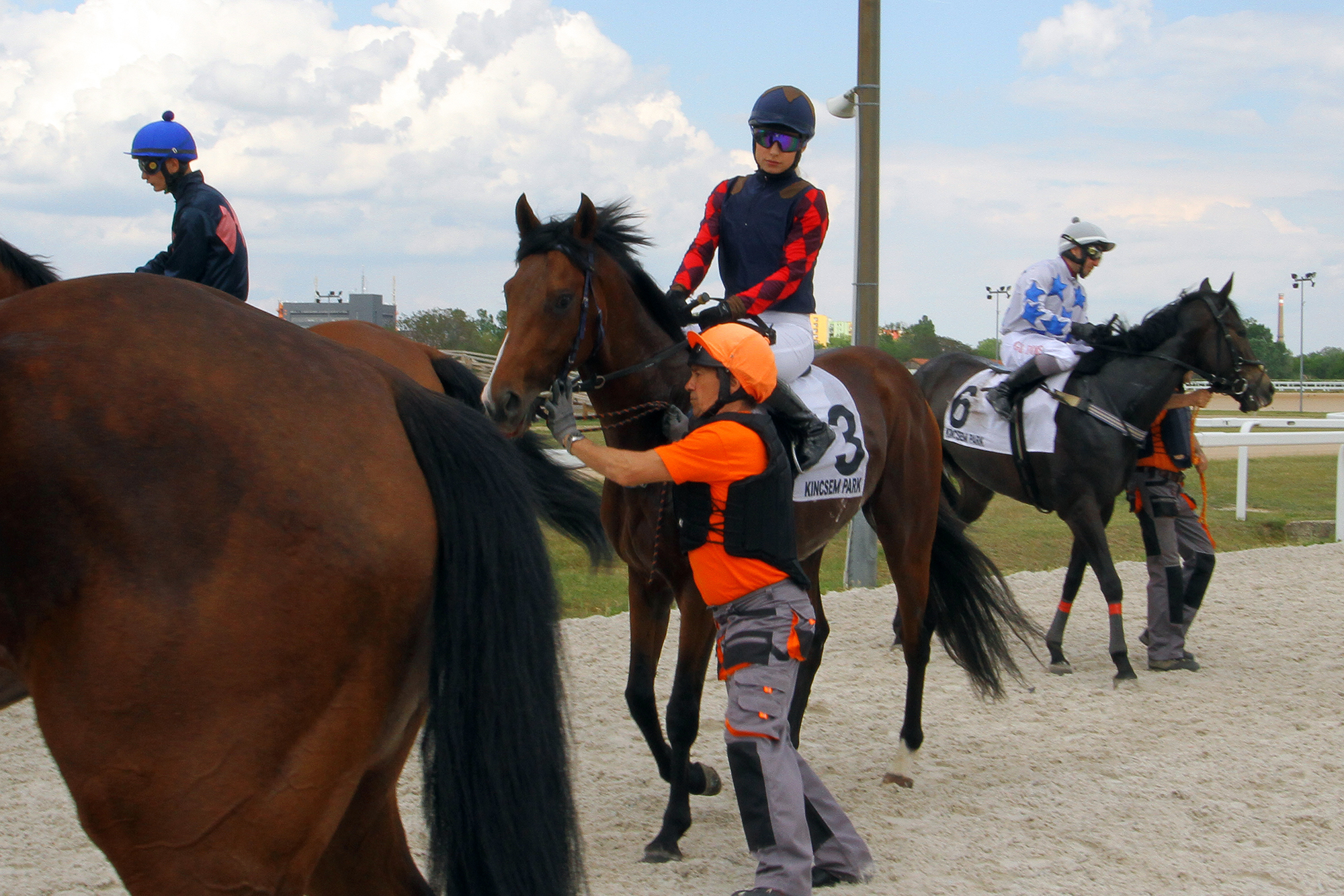 Gönczi Rebeka a Kincsem Parkban