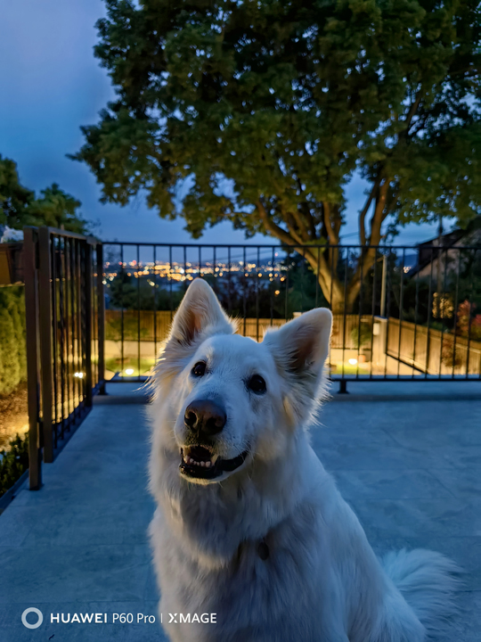 Forradalmi fényképezés mobiltelefonnal