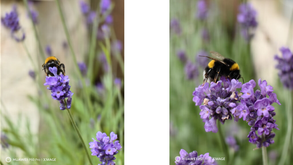 Forradalmi fényképezés mobiltelefonnal