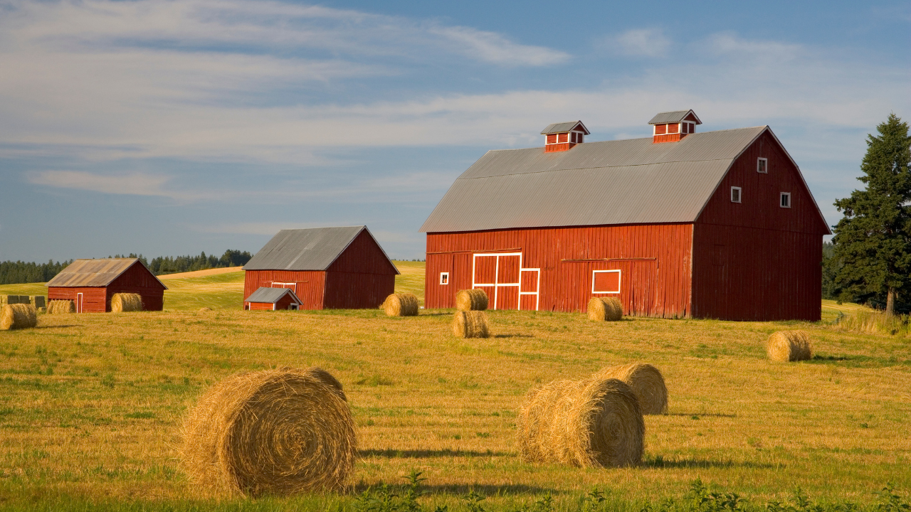 Szalmabálák hevernek egy farm földjén