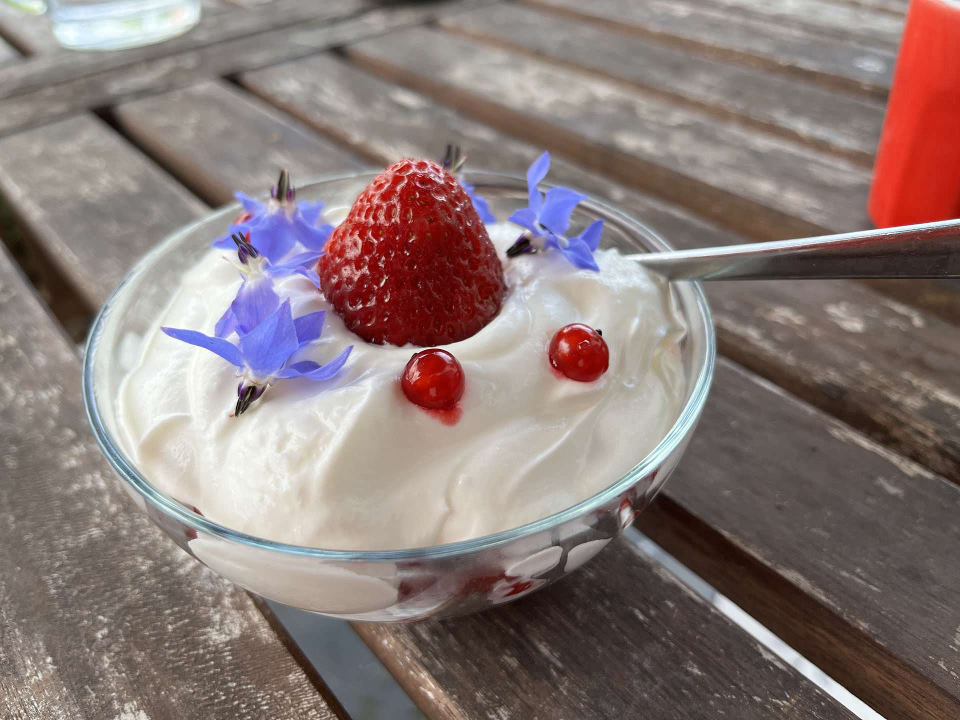 Tejszínes eper borágóval