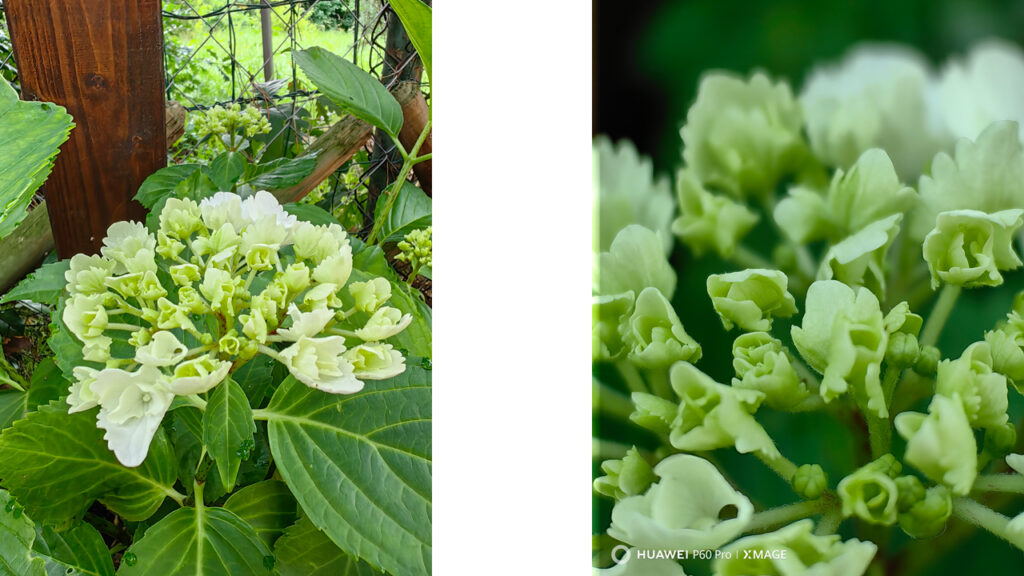 Forradalmi fényképezés mobiltelefonnal