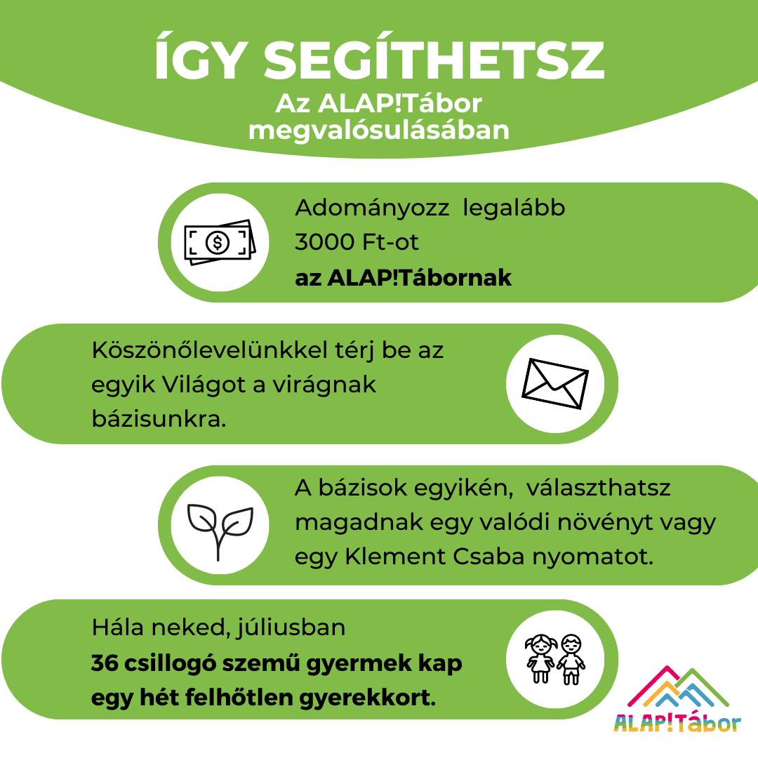 Alap!Tábor adománygyűjtés