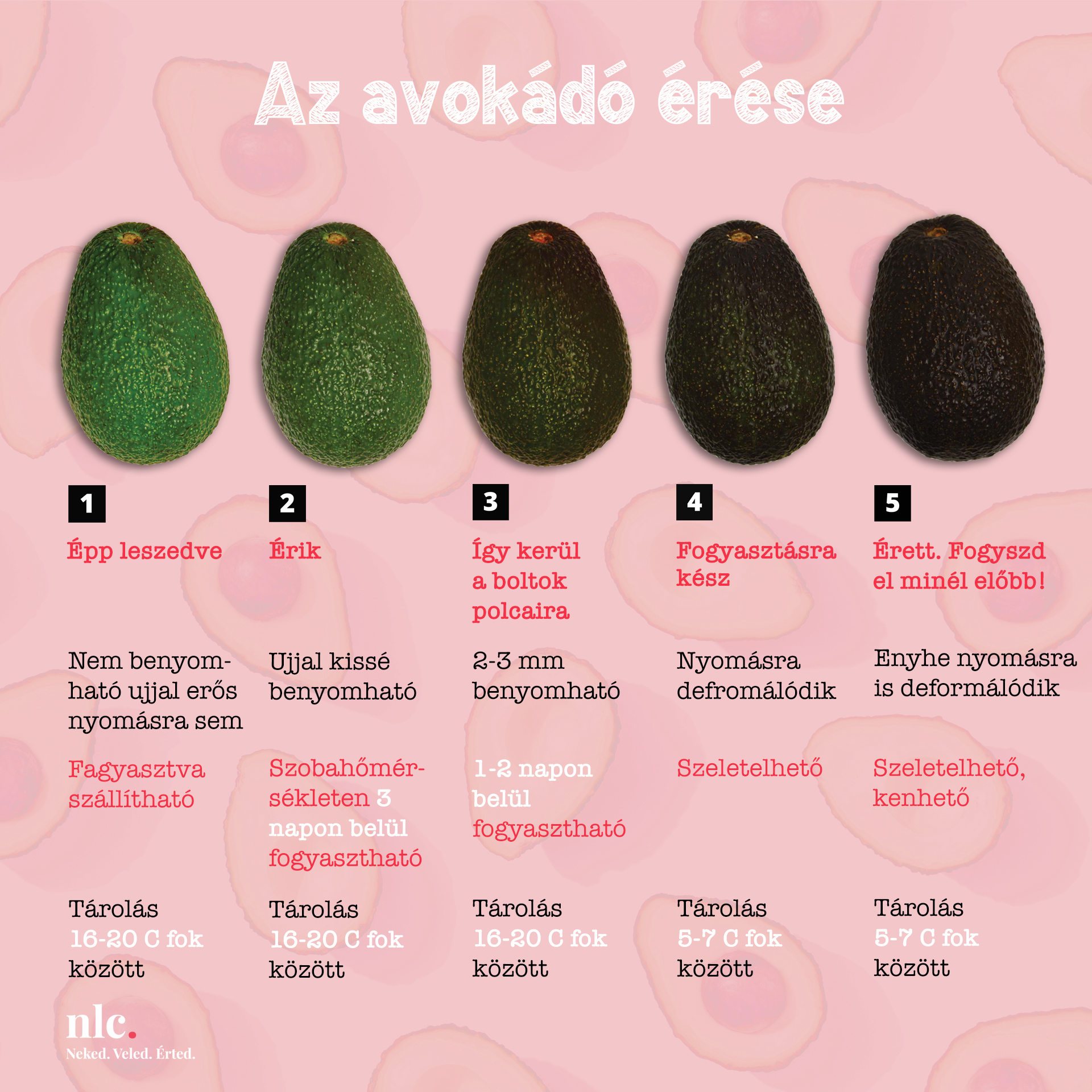 Az avokádó érése