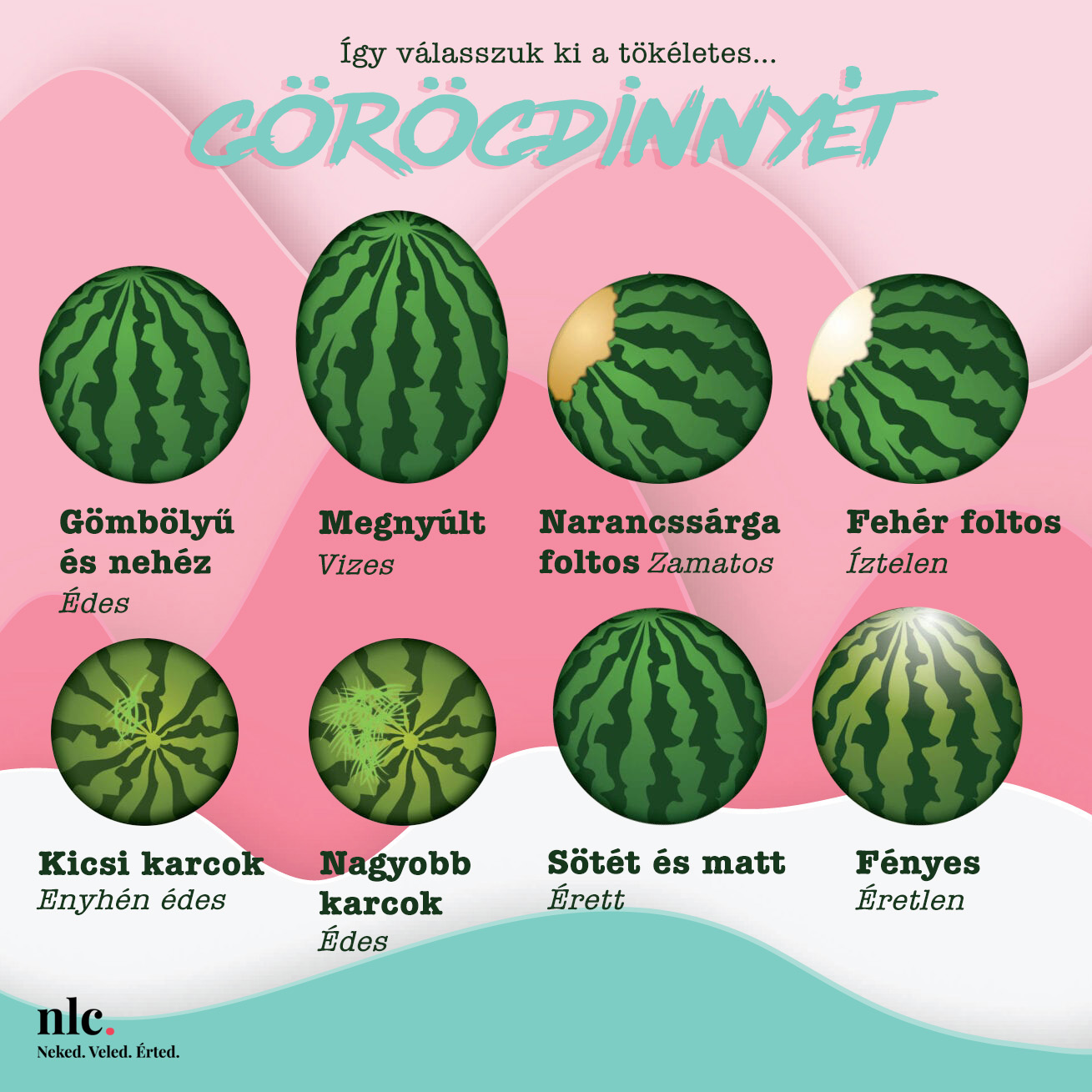 A görögdinnye érése