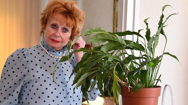 Esztergályos Cecília