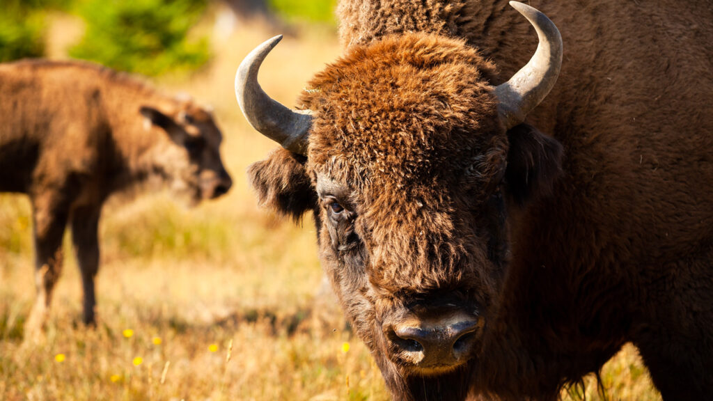 TOP 10 - Németország legkülönlegesebb éttermei