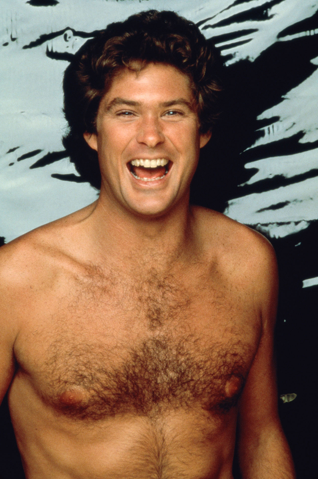 David Hasselhoff