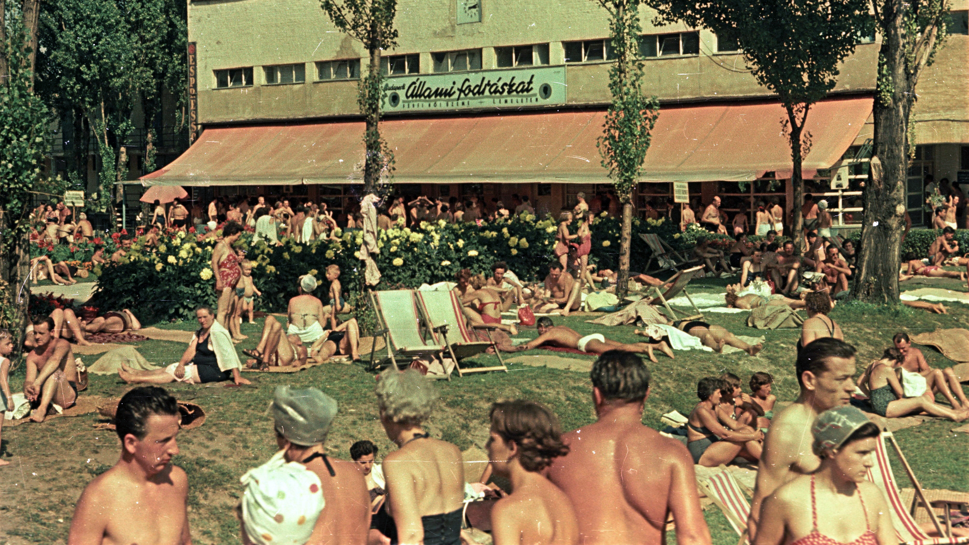 Állami Fodrászat, Palatinus