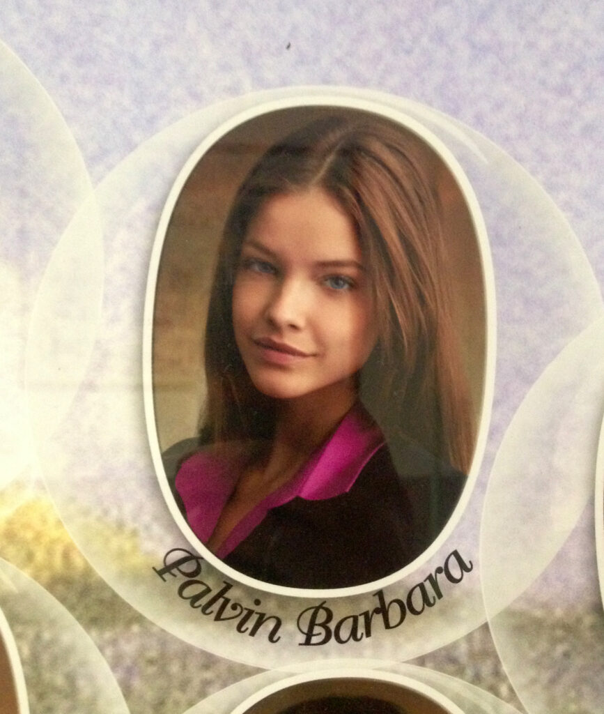 Palvin Barbi tablókép