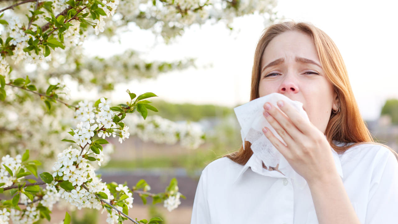 tevhitek az allergiarol