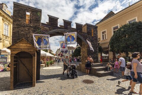 Király lesz az augusztus Székesfehérváron!