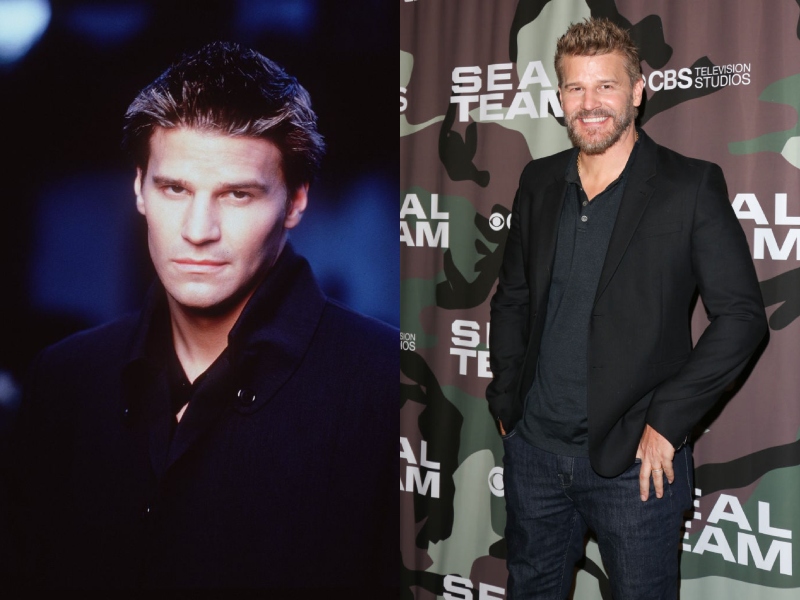 David Boreanaz akkor és most