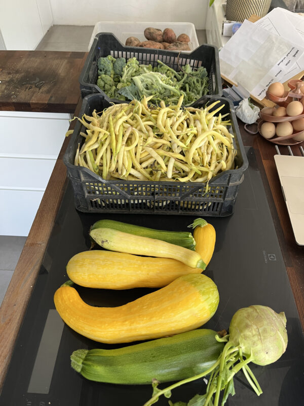 Babszüret és tök (Fotó: Dóra Melinda Tünde)