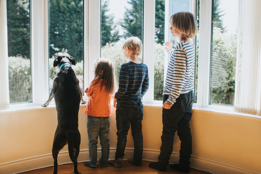 A kutyák szőrös gyerekek