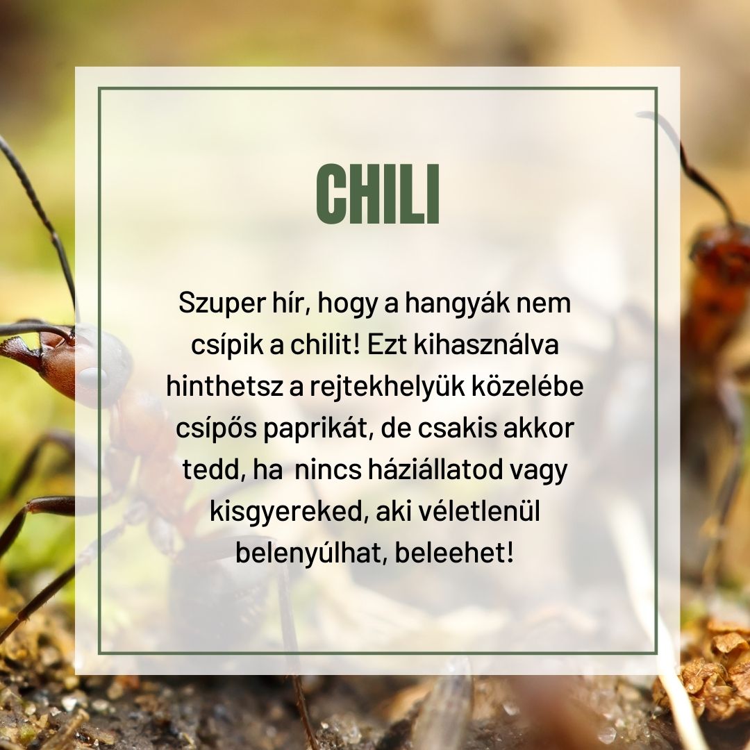Chili