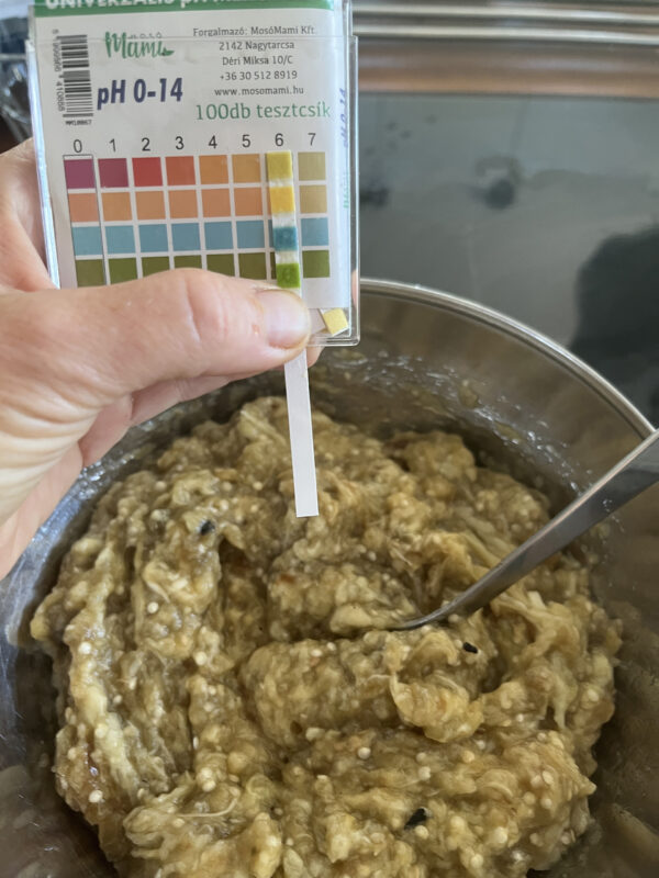 Padlizsánkrém ecetezés előtt – 6-os pH (Fotó: Dóra Melinda Tünde)