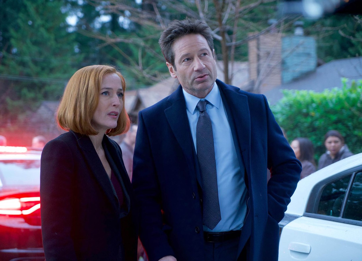 Gillian Anderson, David Duchovny