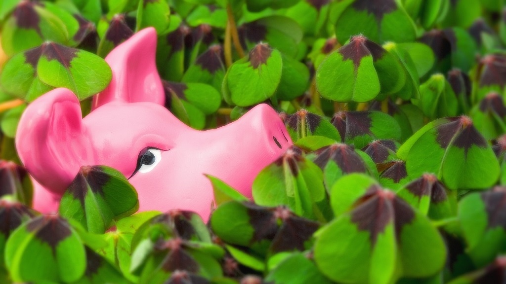 szerencsemalac négylevelű lóherék között