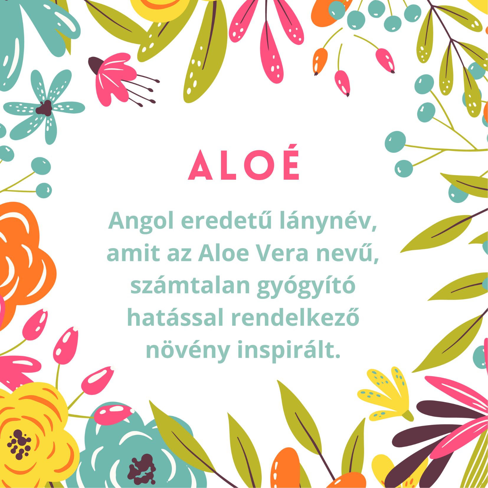 Aloé név jelentése