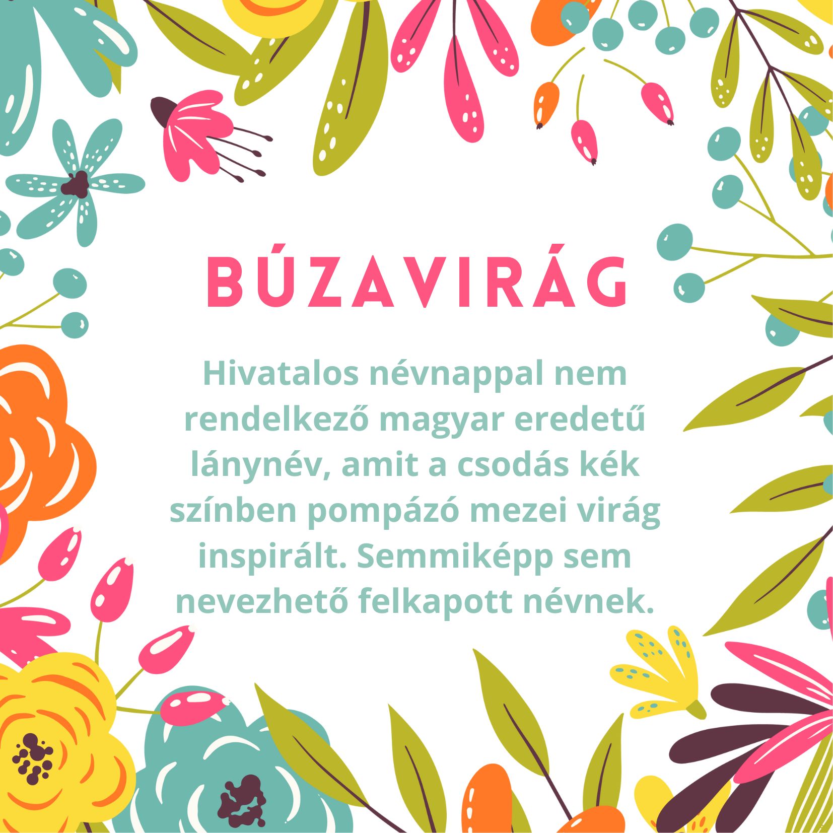 Búzavirág név jelentése