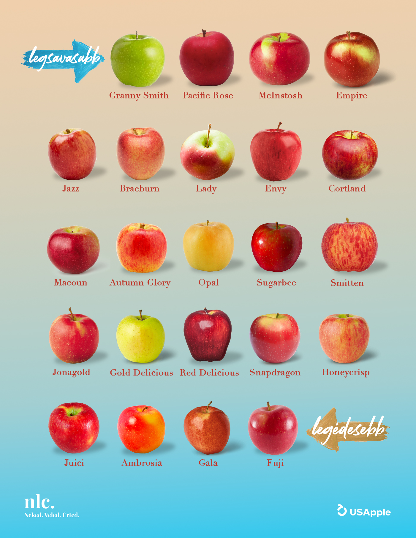 Savanyútól az édesig