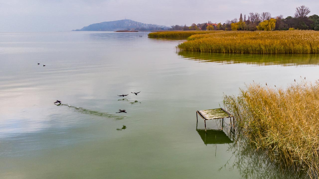 Balaton