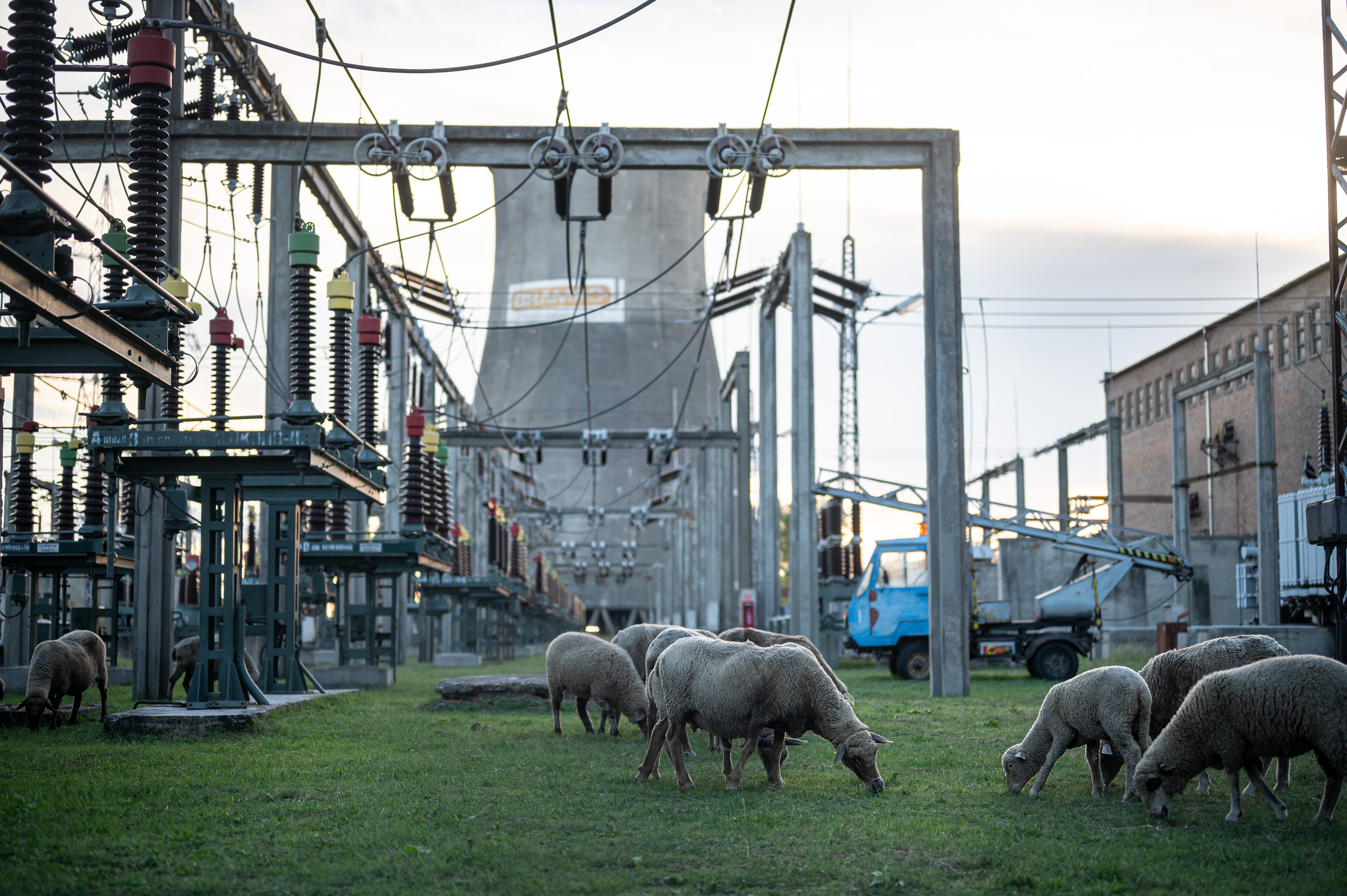 Fotó: Neményi Márton