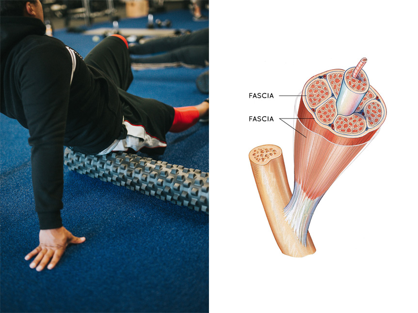 Ezért fontos, hogy egészséges izompólyánk legyen