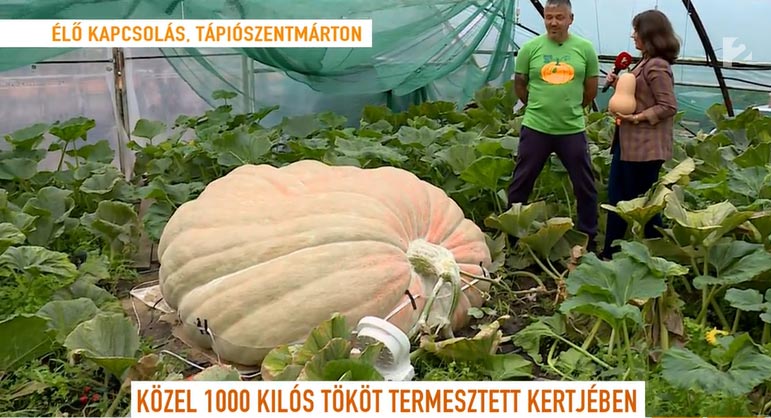 A gigatök és a büszke gazda - Forrás: TV2 / Mokka - videó