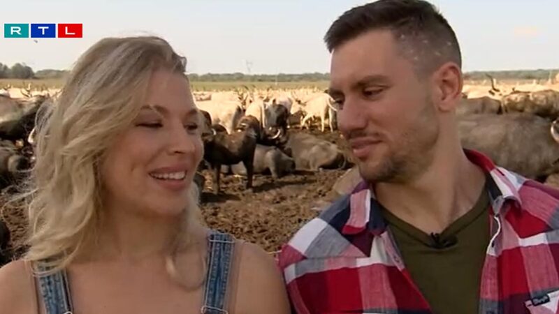 Survivor Nóri és Gergő, 