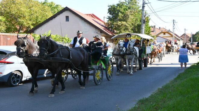 Szüreti mulatságok, városnéző séták - Bakancslistás őszi programok a Kis-Duna mentén