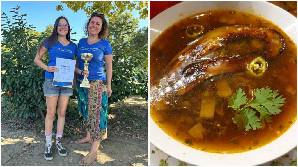 Vegán halászlé padlizsánból és algából