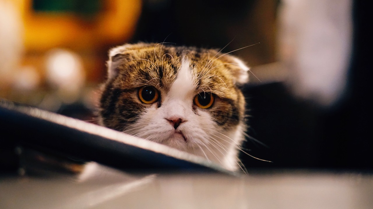 Csillagjegyek, akiket könnyű felbosszantani