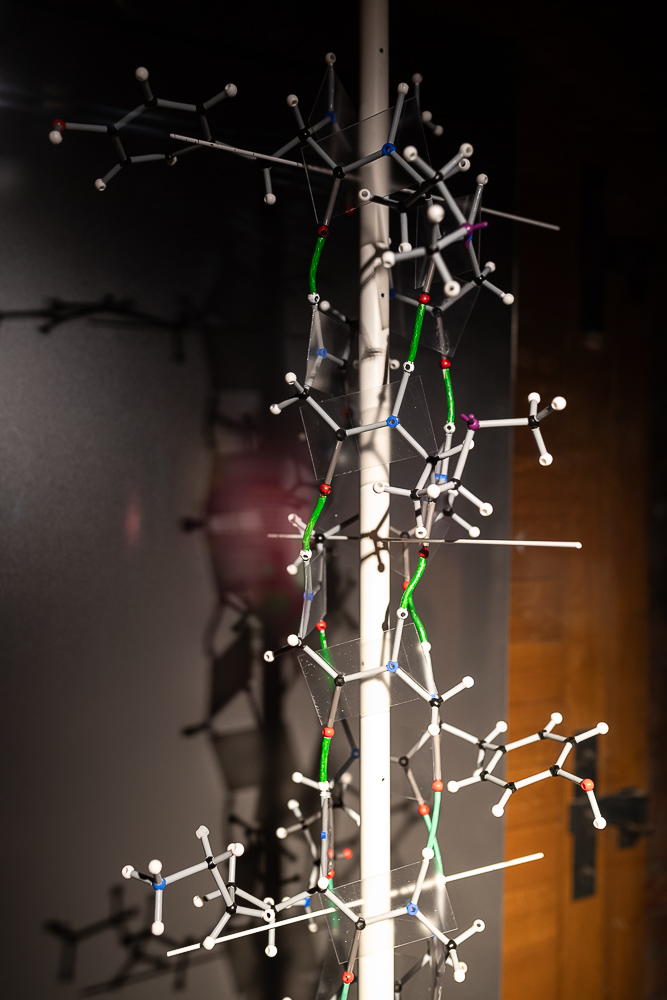 Fotó: Czvitkovits Judit