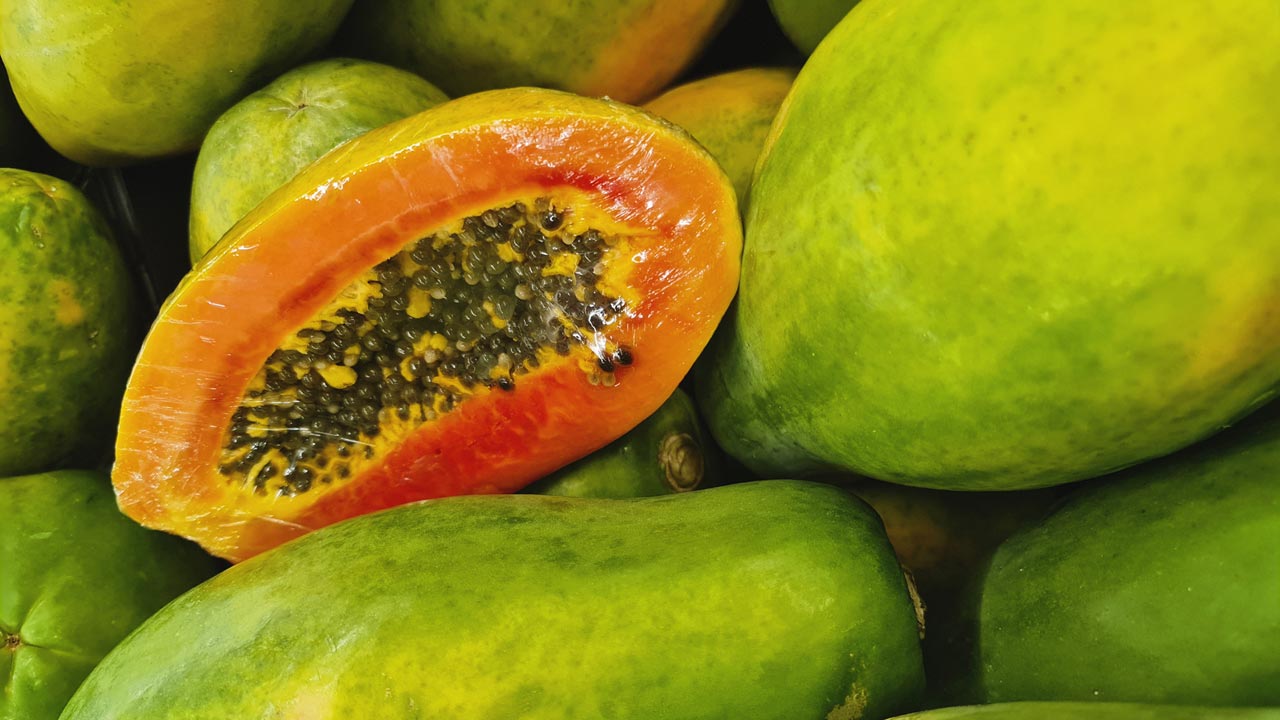 papaya