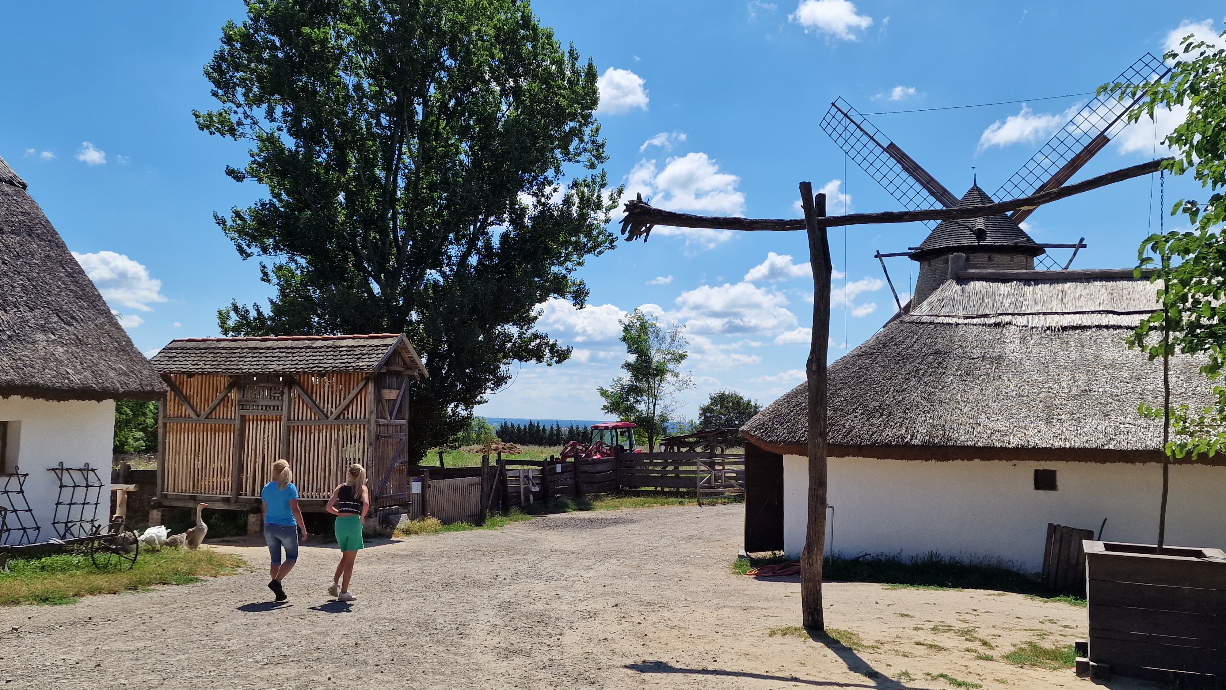 Alföldi mezőváros, nagykunsági állattartó tanya