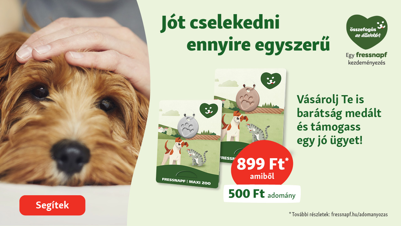 A kutyusok jót tesznek nekünk. Tegyünk jót mi is értük!